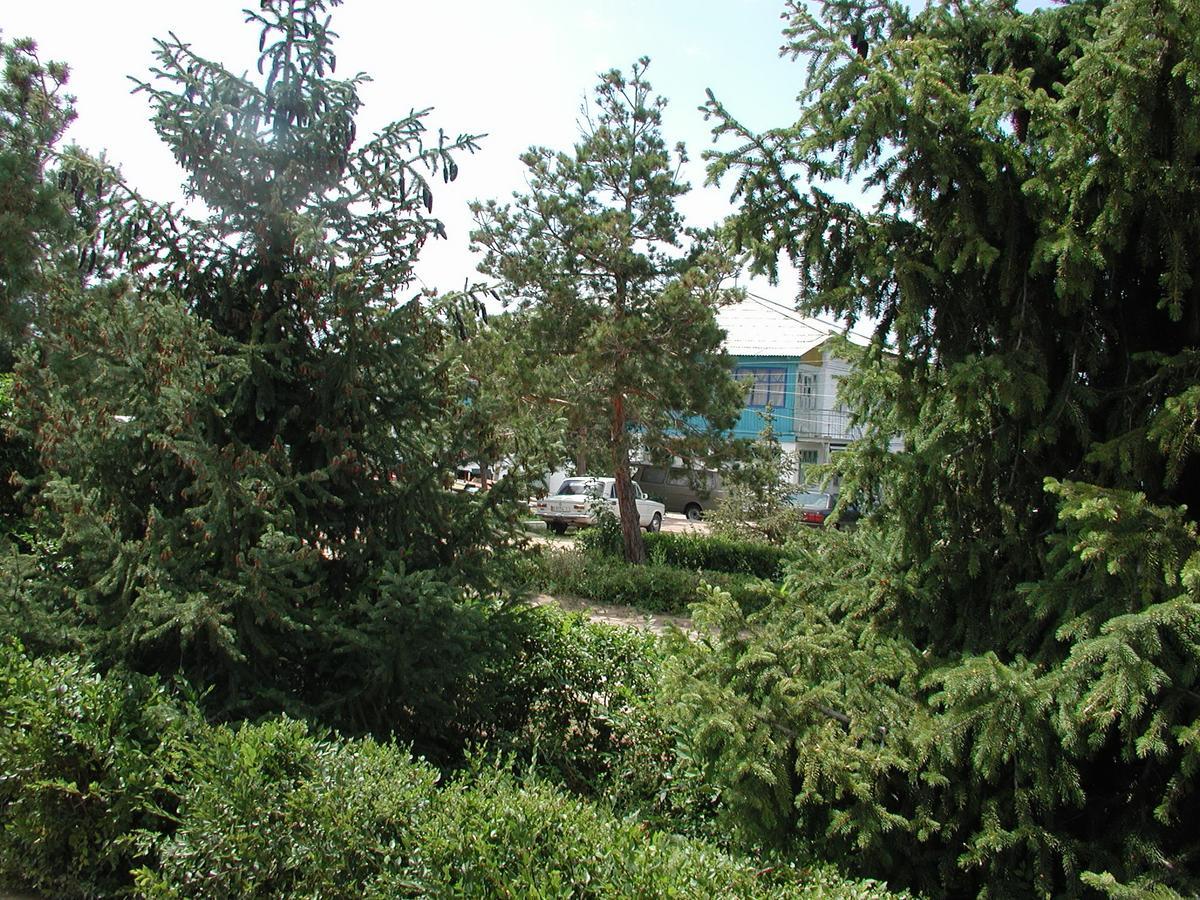 Legenda Health Resort Kaji-Say Kültér fotó