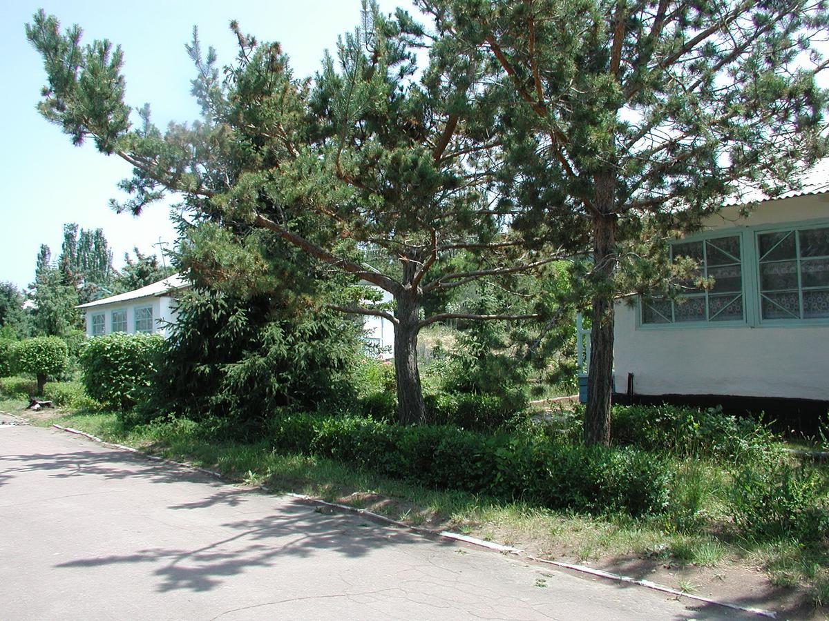 Legenda Health Resort Kaji-Say Kültér fotó