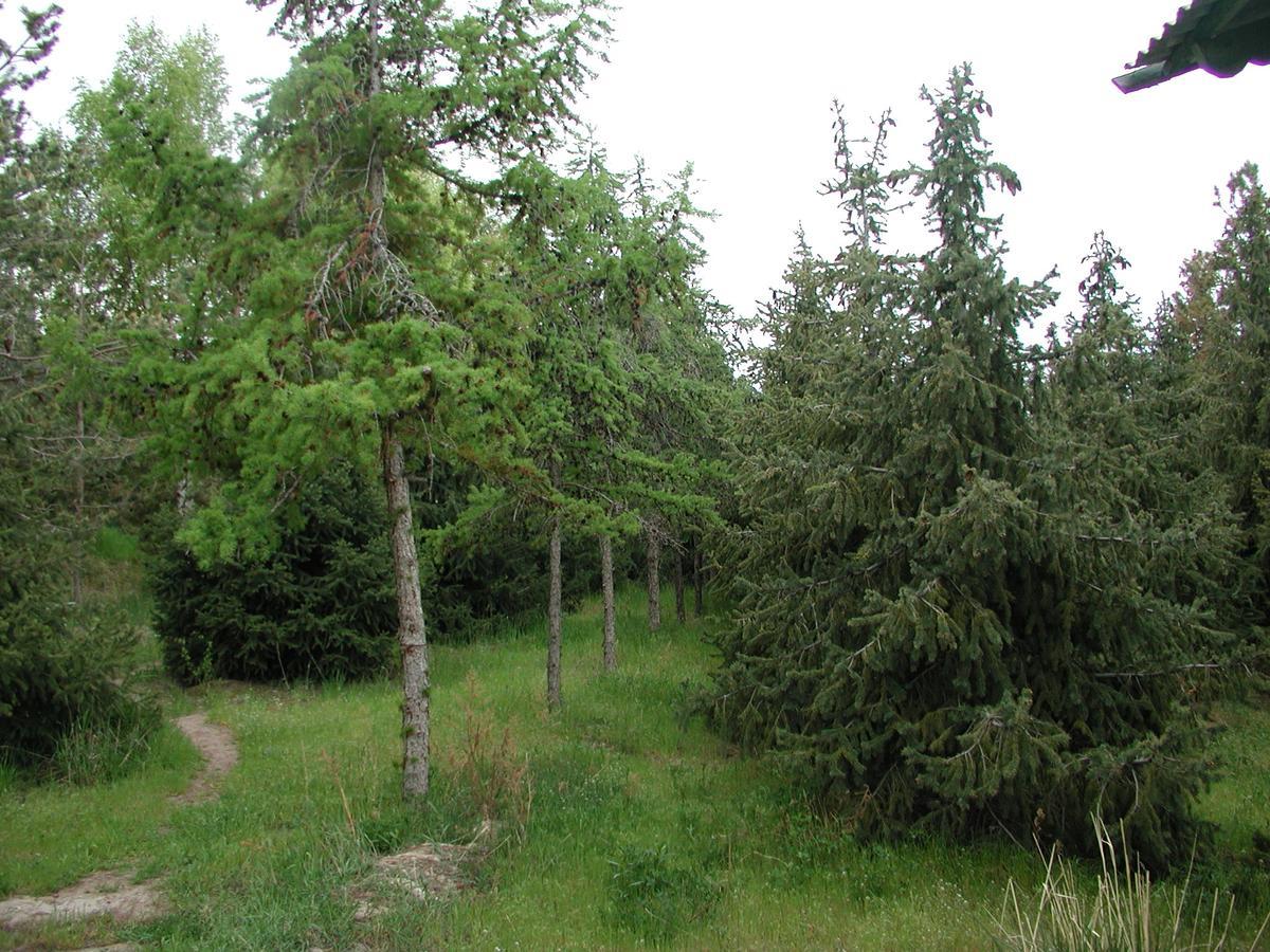 Legenda Health Resort Kaji-Say Kültér fotó